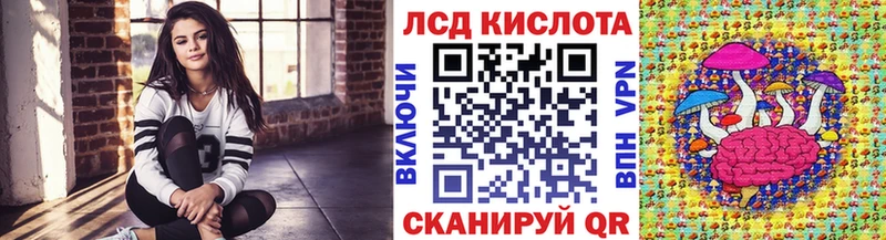 Купить закладки  Нолинск  Наркотические марки 1500мкг 