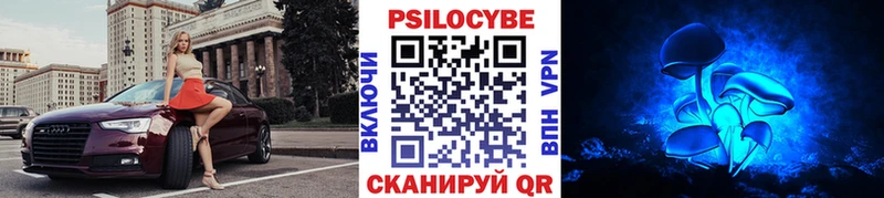 Псилоцибиновые грибы Psilocybine cubensis Нолинск